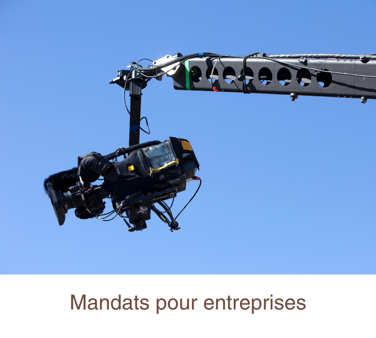 Mandats pour entreprises